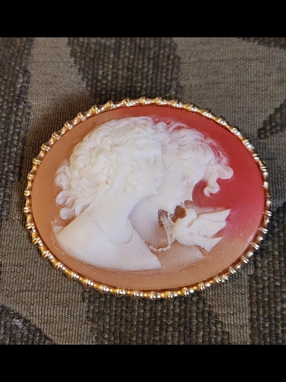Vintage Cameo Brooch in White on Coral Background